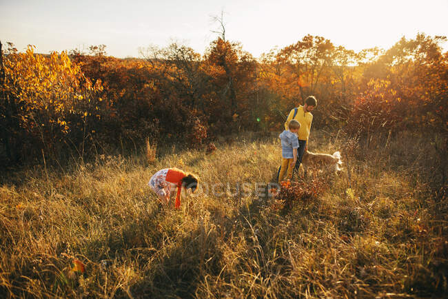 Батько і двоє дітей гуляють зі своїм собакою — стокове фото