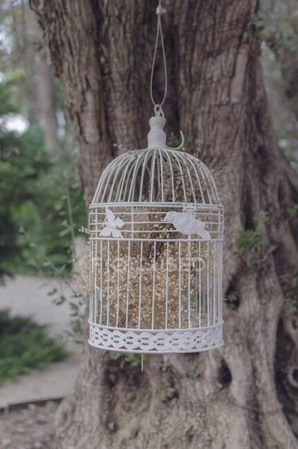 Jaula decorativa para pájaros colgada de un árbol - foto de stock