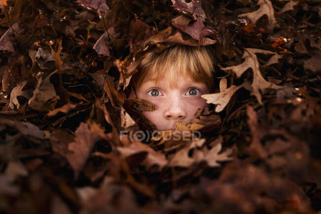 Faccia del ragazzo guardando attraverso foglie di autunno — Foto stock
