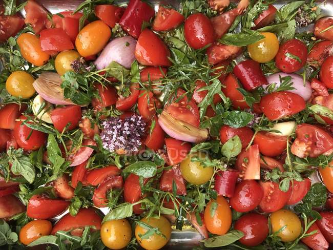 Chopped tomatoes, onions and herbs on a baking tray — Stock Photo
