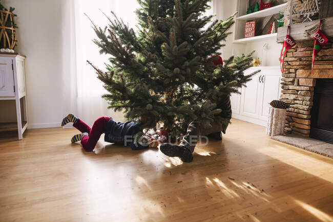 Junge hilft seinem Vater beim Aufstellen eines Weihnachtsbaums — Stockfoto