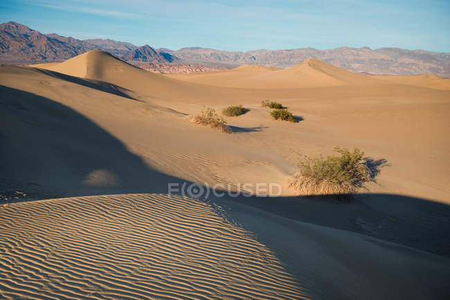 Le dune ondulate del deserto nel Parco Nazionale della California, Valle della Morte — Foto stock