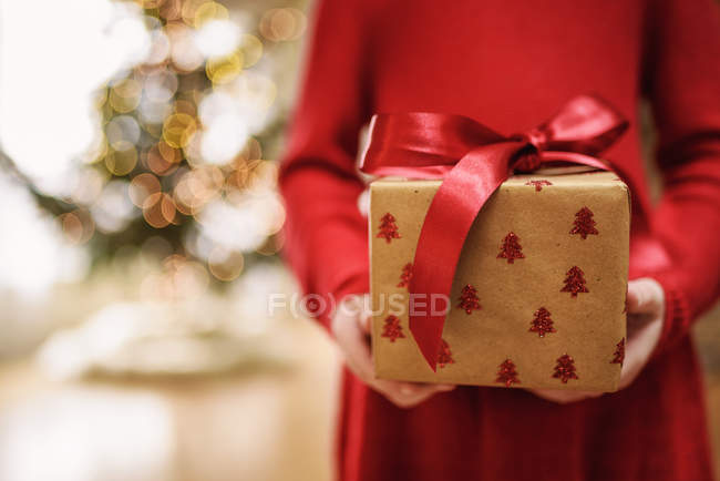 Imagen recortada de Chica sosteniendo un regalo de Navidad envuelto - foto de stock