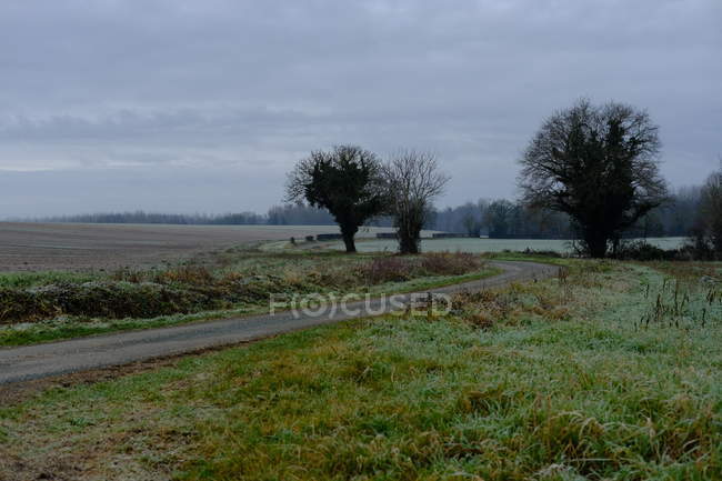 Scenic view of Road through rural landscape, Niort, France — Stock Photo