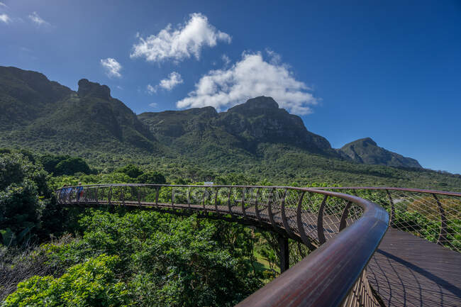 Schöne Landschaft der Brücke im Bergwald — Stockfoto