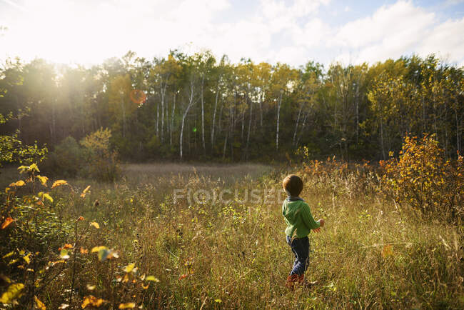 Niño de pie en un campo en la naturaleza - foto de stock