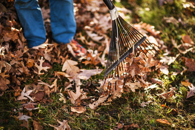 Imagen recortada de Niño rastrillando hojas de otoño - foto de stock