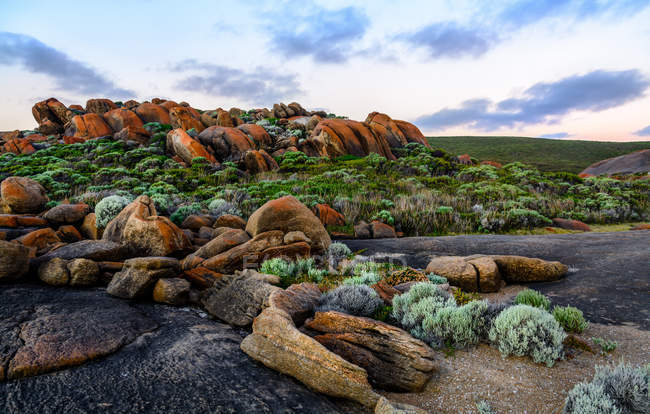 Rochers riches en fer sur la plage, Australie occidentale, Australie — Photo de stock