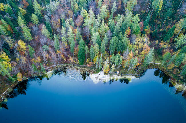 Ripresa aerea del bellissimo lago nella pineta — Foto stock