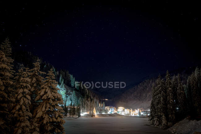 Visão noturna de pinheiros e montanhas no fundo — Fotografia de Stock