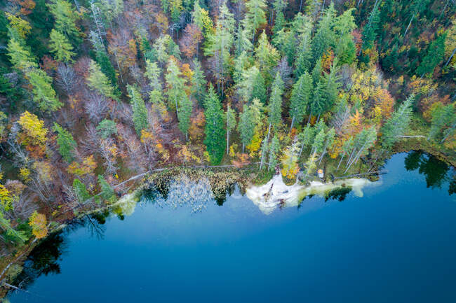 Beau paysage avec forêt de pins et lac de montagne — Photo de stock