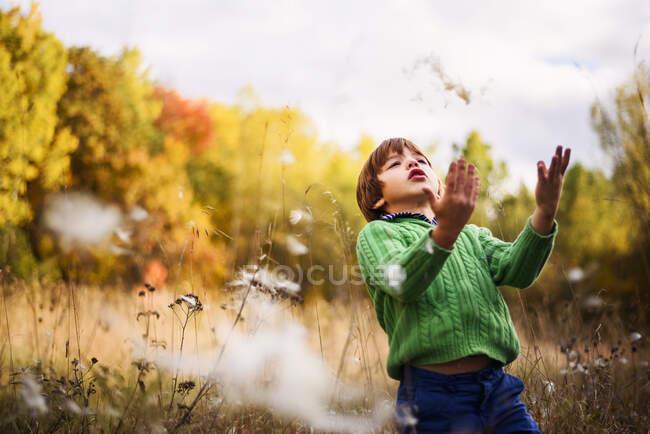 Garçon debout dans un champ jetant des fleurs d'asclépiade dans l'air — Photo de stock