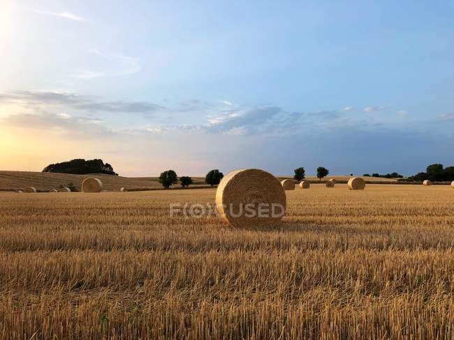 Heuballen auf einem Feld bei Sonnenuntergang, samsoe, Dänemark — Stockfoto