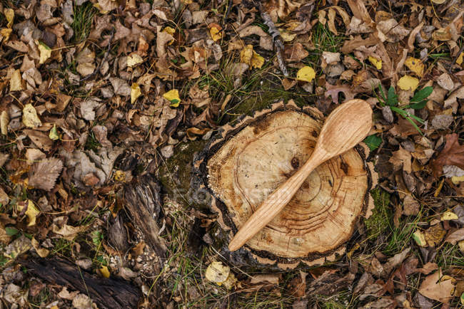 Top view of Carved spoon lying on a log — Stock Photo