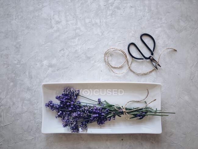 Lavender on a plate with string and scissors — Stock Photo