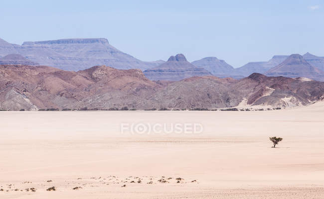 Árbol solitario en la montaña Paisaje del desierto, Namibia - foto de stock