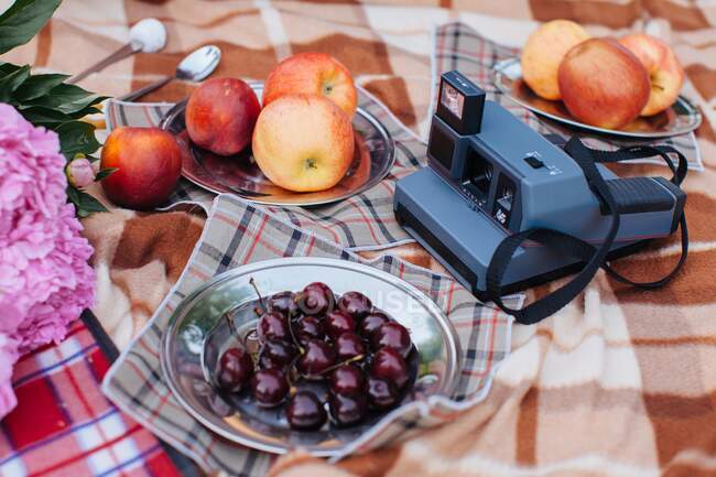 Manta de picnic con cámara vintage y comida - foto de stock