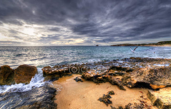 Vista panorámica de las gaviotas en la playa, Point Peron, Perth, Australia Occidental, Australia - foto de stock