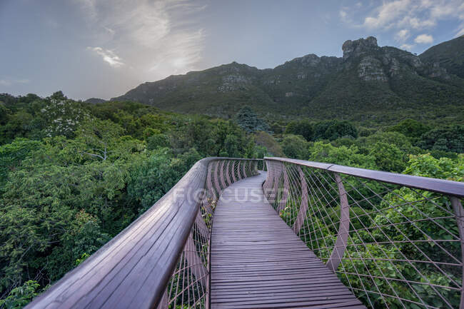 Красивый пейзаж моста в горном лесу — стоковое фото