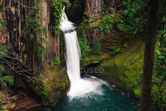 Vista panorámica de Toketee Falls, Condado de Douglas, Oregon, Estados Unidos, EE.UU. - foto de stock
