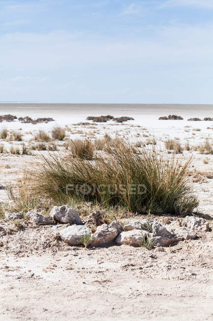 Vista panorâmica de salinas, Parque Nacional de Etosha, Namíbia — Fotografia de Stock