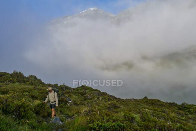 Man Hiking in the Upper Rees Valley, Mt Aspiring National Park, South Island, New Zealand — стоковое фото