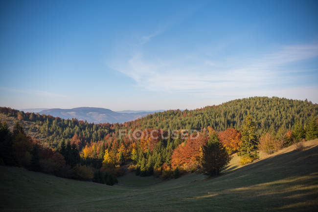 Живописный вид на сельский лесной пейзаж, Сараево, Боснию и Герцеговину — стоковое фото