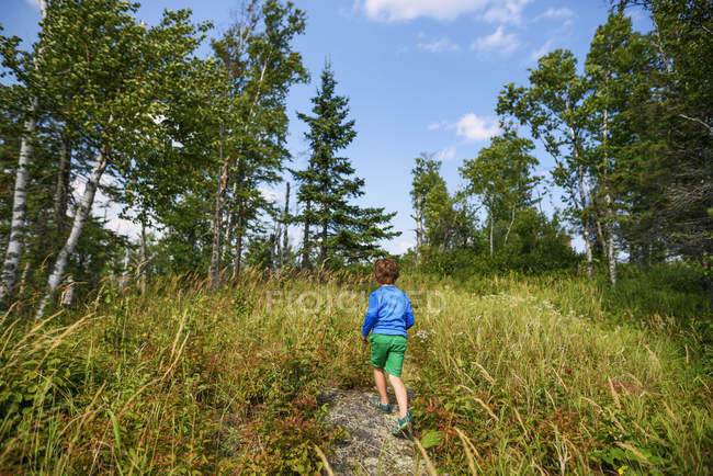 Menino caminhando ao longo de uma trilha florestal — Fotografia de Stock