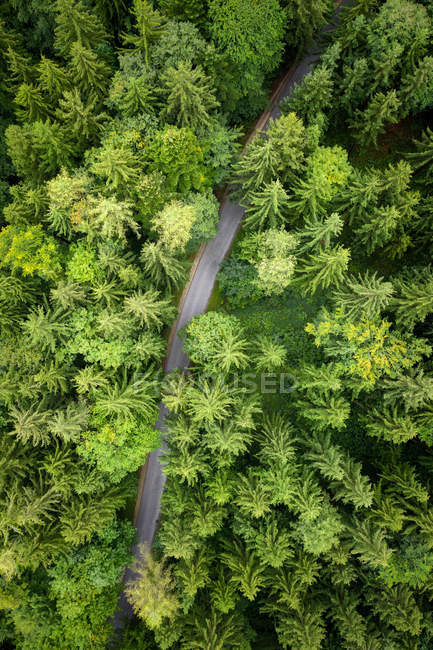 Vista aérea de una carretera a través del bosque, Austria - foto de stock