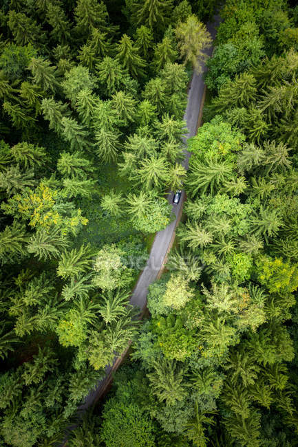 Veduta aerea di un'auto che attraversa una foresta, Austria — Foto stock