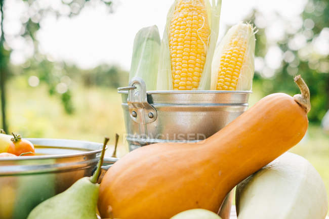 Buckets of fresh tomatoes, corn on the cob, squash and pears — Stock Photo