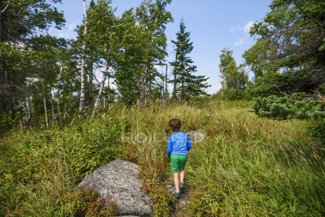 Junge läuft auf Waldweg — Stockfoto