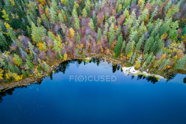 Красивый пейзаж с сосновым лесом и горным озером — стоковое фото