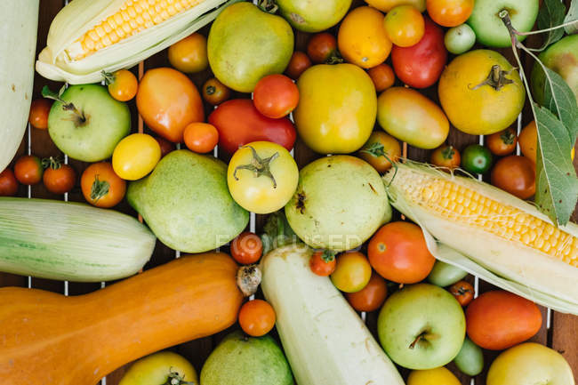 Frische Tomaten, Mais auf dem Kolben, Kürbis und Birnen — Stockfoto