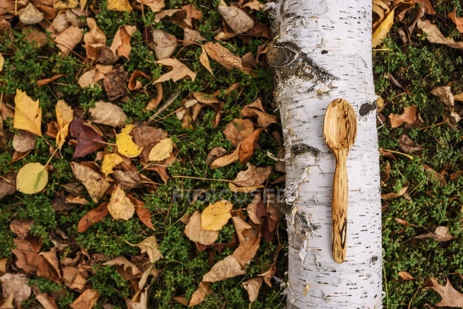 Primo piano vista di cucchiaio intagliato sdraiato su un tronco — Foto stock