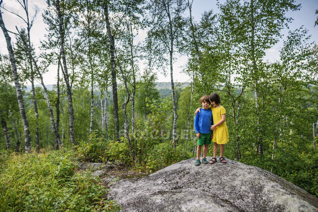 Niño y niña de pie sobre una roca en el bosque - foto de stock