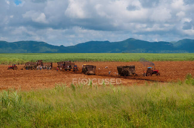 Personas con máquinas agrícolas que trabajan en el campo agrícola - foto de stock