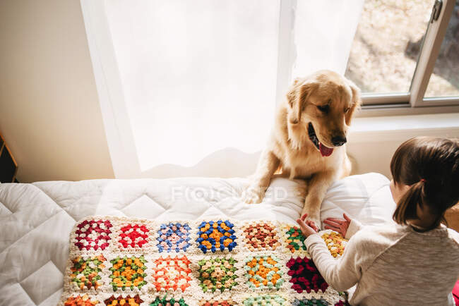 Junges Mädchen spielt mit Hund auf einem Bett — Stockfoto