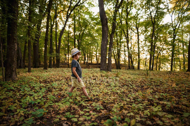 Menino caminhando através da bela floresta — Fotografia de Stock