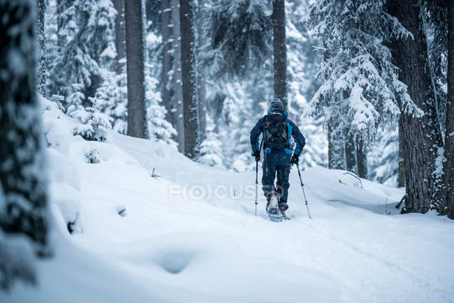 Uomo ciaspolata attraverso la foresta invernale, Zauchensee, Salisburgo, Austria — Foto stock