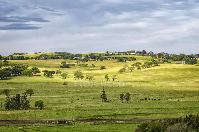 Vista panorámica del paisaje rural, Nueva Gales del Sur, Australia - foto de stock