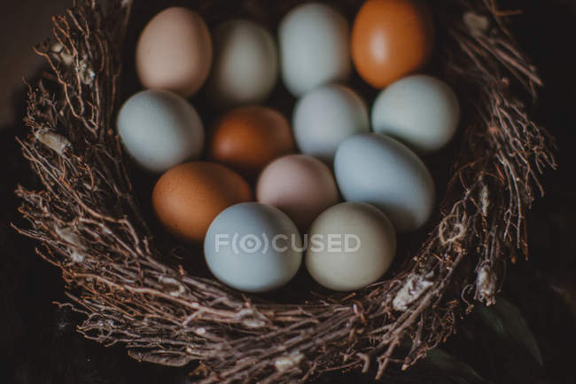 Closeup view of fresh eggs in a nest — Stock Photo