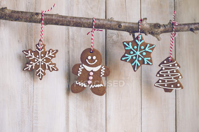 Gingerbread cookies hanging on a branch — Stock Photo