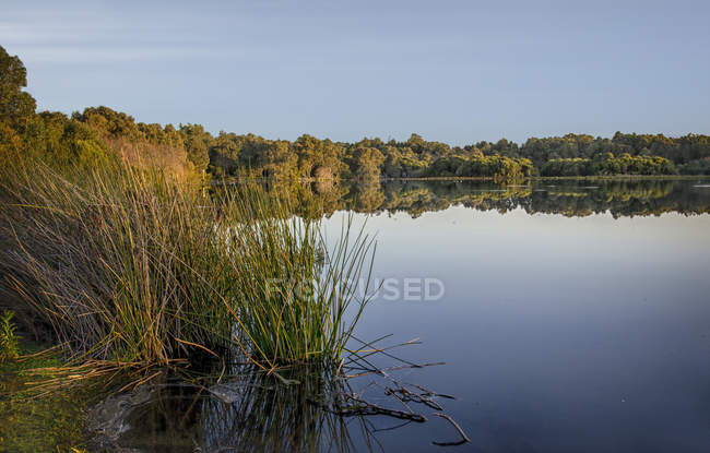 Vista panoramica sul lago Yanchep, Yanchep National Park, Perth Western Australia, Australia — Foto stock