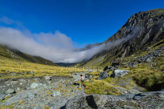 Escursioni dell'uomo nell'Alta Valle di Rees, Parco Nazionale del Monte Aspirante, Isola del Sud, Nuova Zelanda — Foto stock