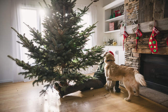 Homem montando uma árvore de Natal na sala de estar — Fotografia de Stock