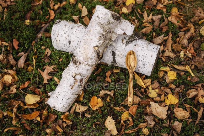 Nahaufnahme eines geschnitzten Löffels, der auf zwei Baumstämmen liegt — Stockfoto