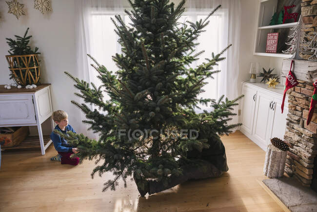 Boy helping his father set up a Christmas tree — Stock Photo