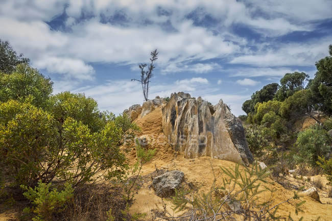 Мальовничим видом The Pinnacles, Nambung Національний парк, Західна Австралія, Австралія — стокове фото