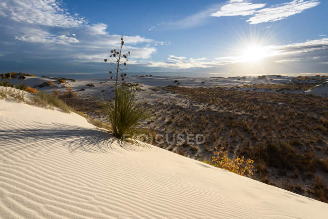 Paisagem do deserto, Monumento Nacional das Areias Brancas, Novo México, América, EUA — Fotografia de Stock